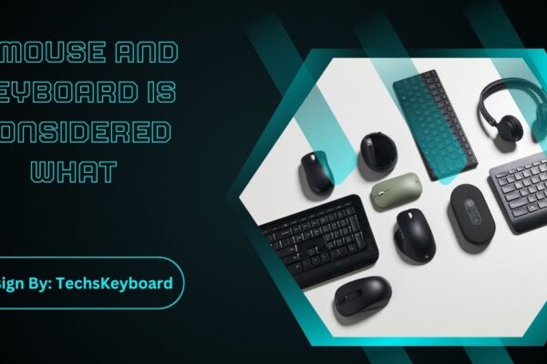 A Mouse And Keyboard Is Considered What