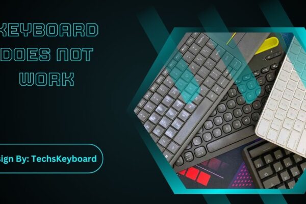 Keyboard Does Not Work