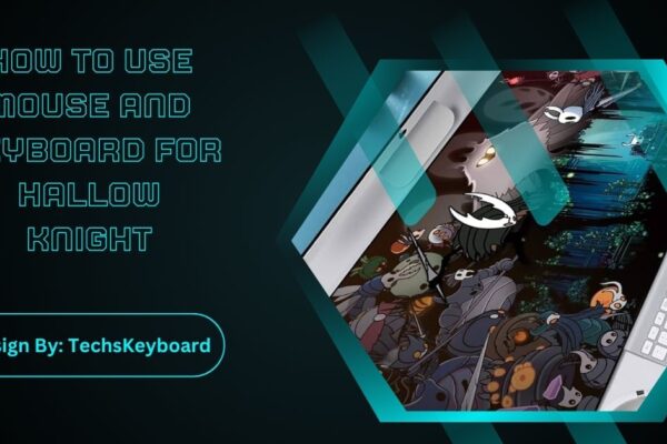 How To Use Mouse And Keyboard For Hallow Knight
