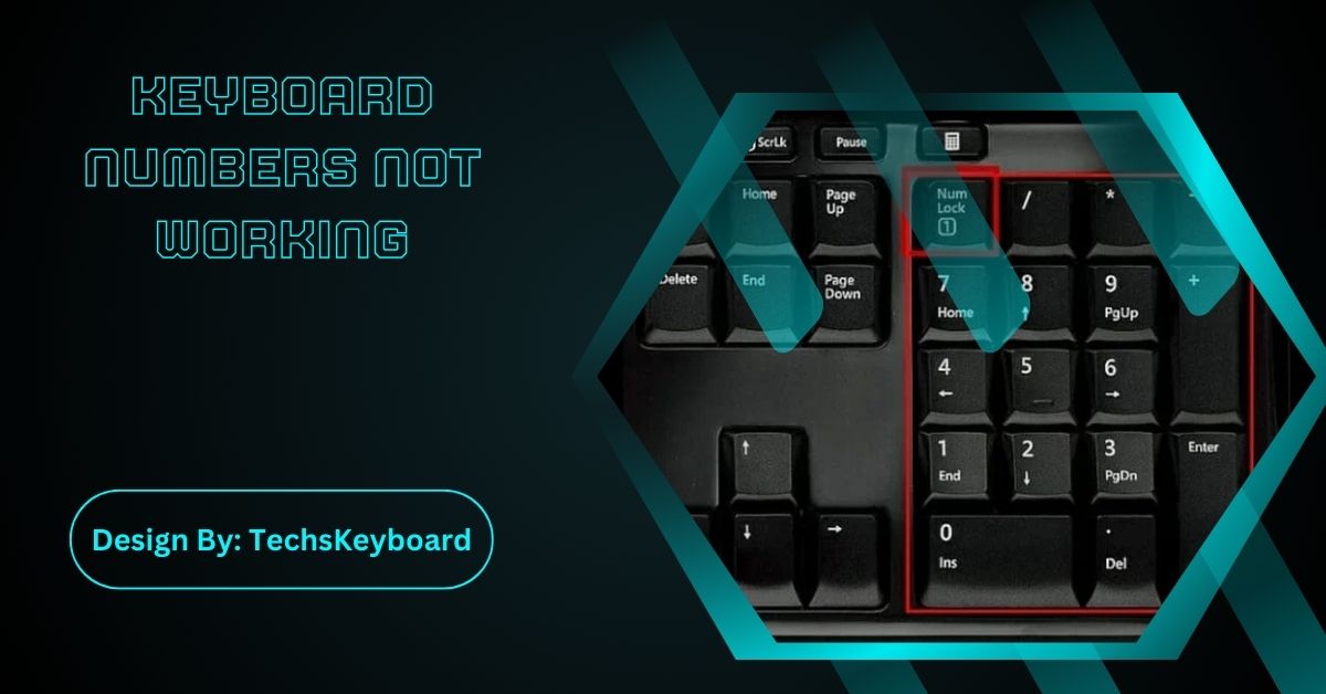 Keyboard Numbers Not Working