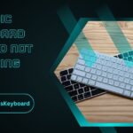 Magic Keyboard Touch ID Not Working