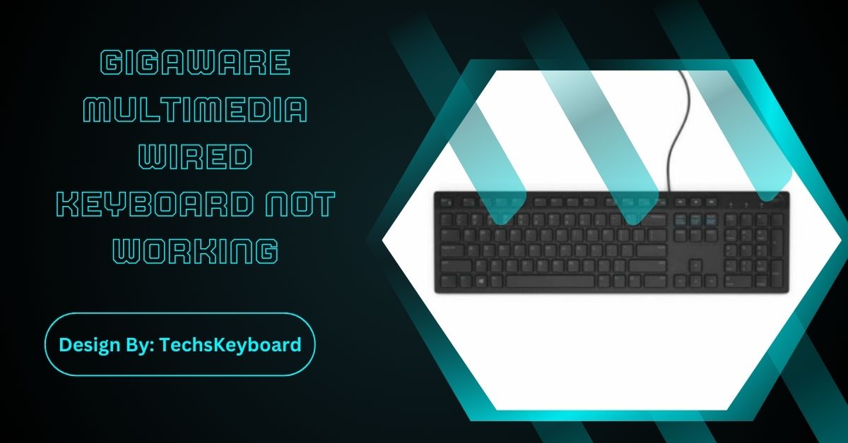 Gigaware Multimedia Wired Keyboard Not Working