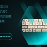 Where Is Vortex Keyboards From