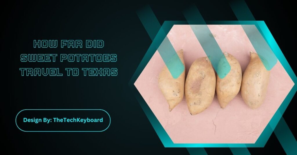How Far Did Sweet Potatoes Travel To Texas