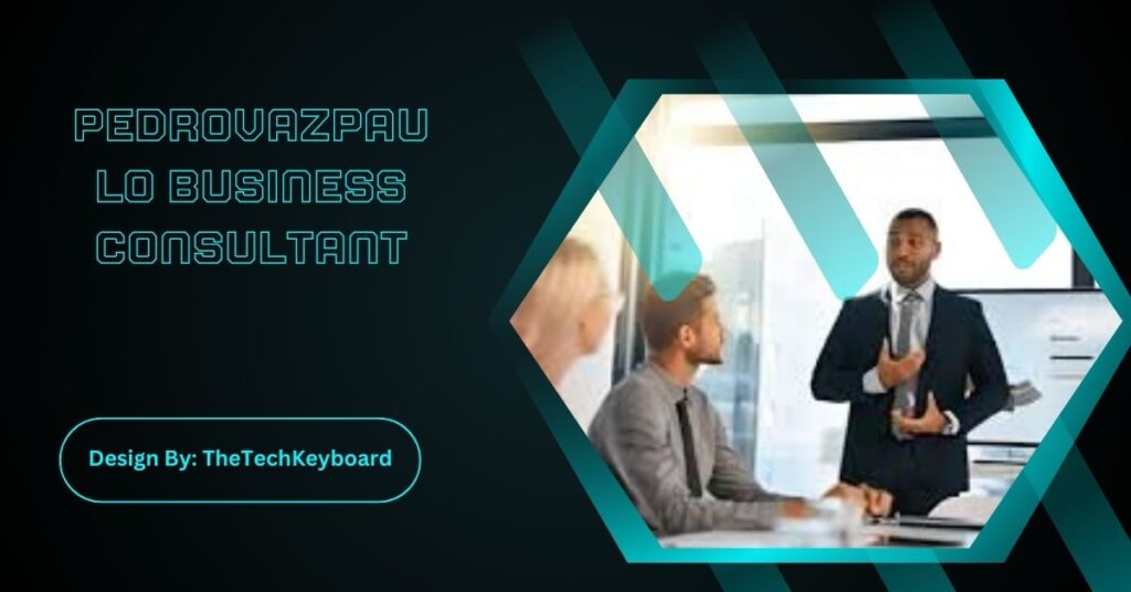 Pedrovazpaulo Business Consultant