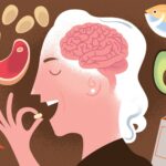 The Role of B12 in Brain Health and Memory