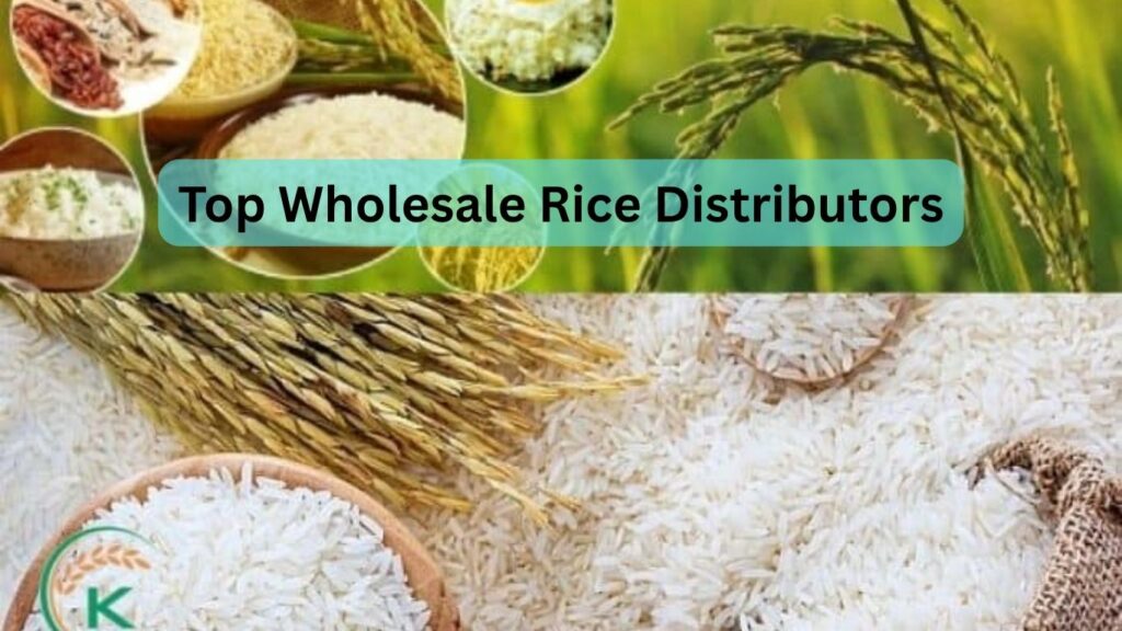 Top Wholesale Rice Distributors