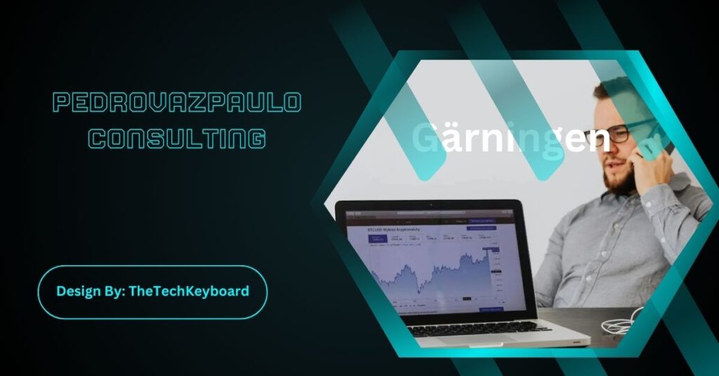 Pedrovazpaulo Consulting