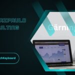 Pedrovazpaulo Consulting