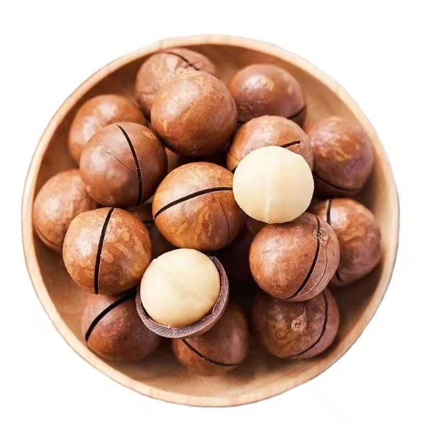 From Farm to Table The Journey of Wholesale Macadamia Nuts