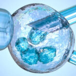 Genetic Testing in IVF